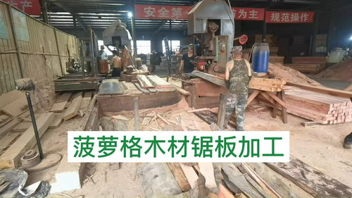 从原木到板材 探访进口菠萝格锯板厂的全流程加工技艺