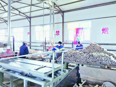 虎林 借“森林工厂”壮木材产业，探路绿色加工新路径